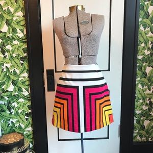 Retro Mod Rainbow Mini Skirt